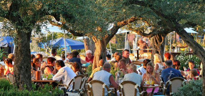 Les Tournels - Restaurants - Le Jardin des pins